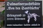 Dalmatiner-Schild