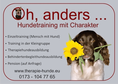 Plakat Hundetraining